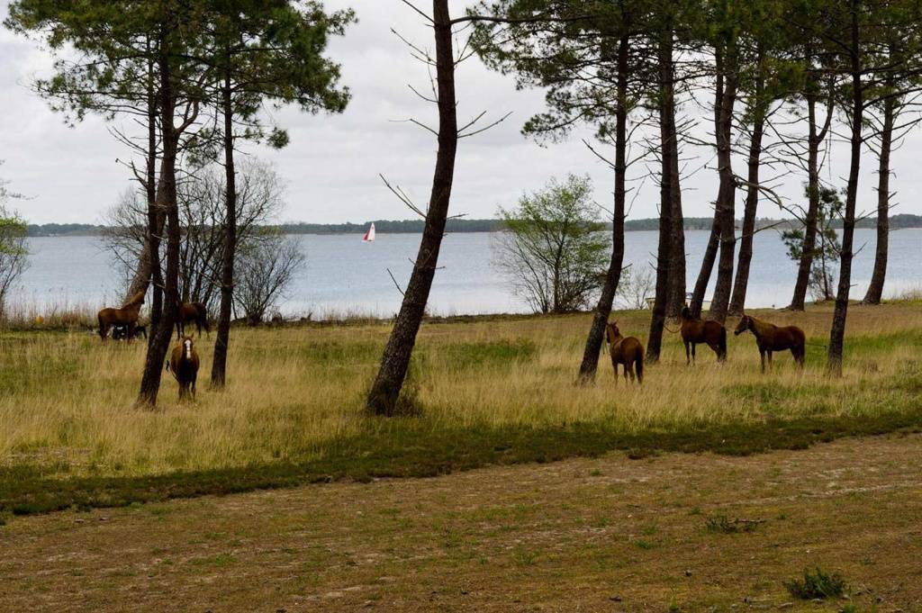 Photos d&amp;amp;amp;#039;ici et d&amp;amp;amp;#039;ailleurs