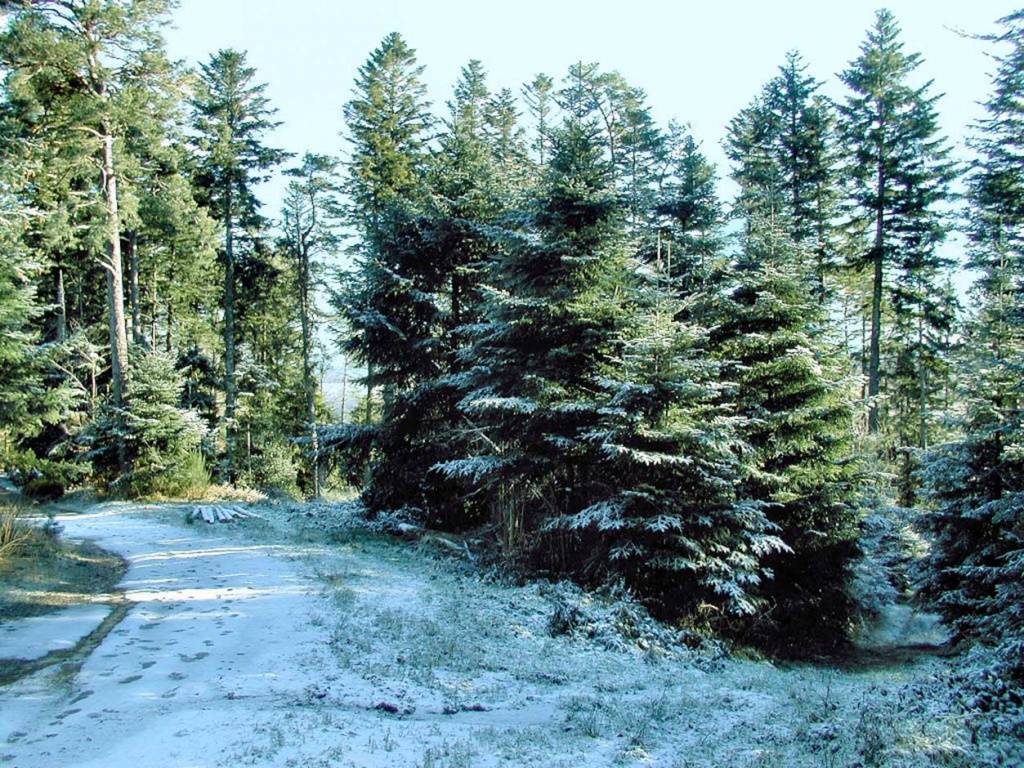 Champdray, la petite Sibérie en décembre 2004.