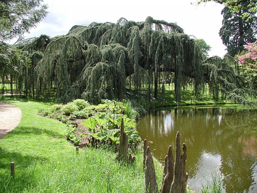L'arboretum de Châtenay Malabry.