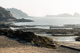 cancale_2016