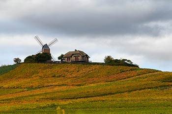La montagne de Reims aux couleurs d'automne en octobre 2019.