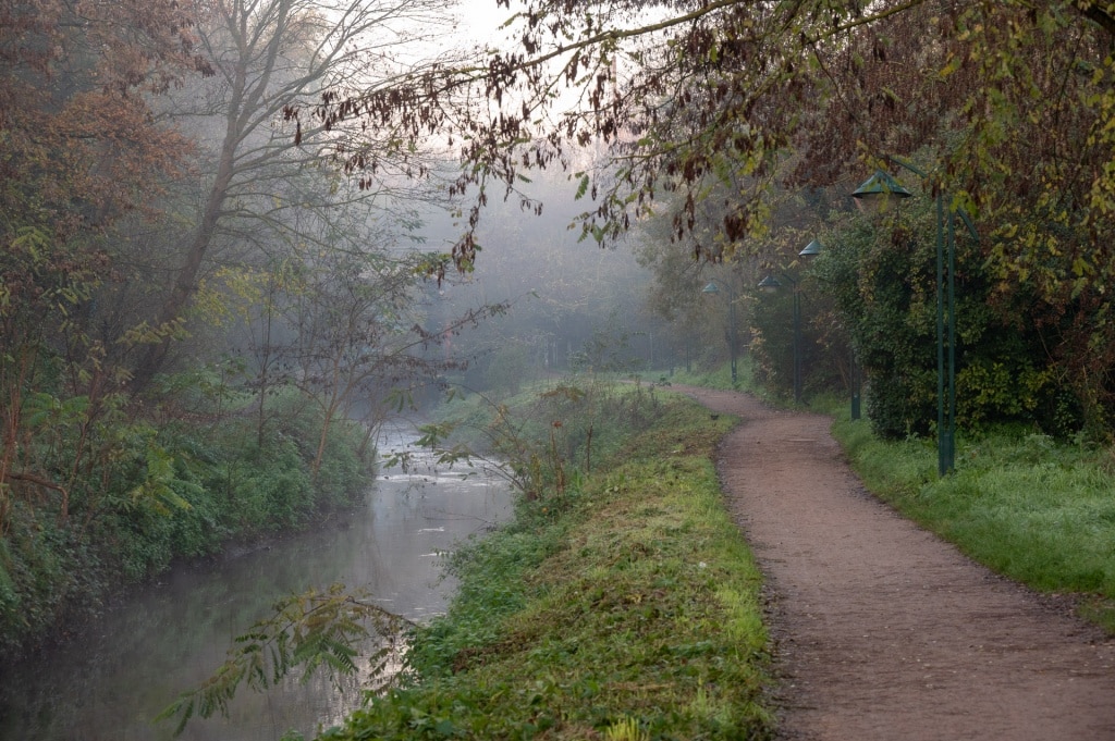 Les bords de l’Yvette pendant les promenades matinales