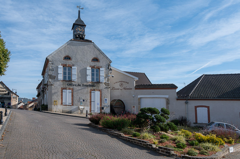 Le vignoble de la Montagne de Reims en Octobre 2021
