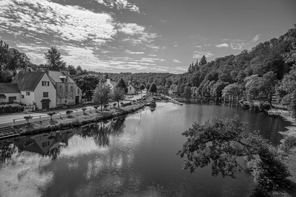 Fond de péloches 2022 en Noir et Blanc